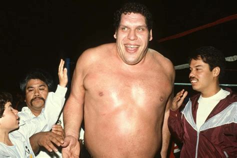How Much Did Andre the Giant REALLY Weigh? Unmasking the Truth Behind ...