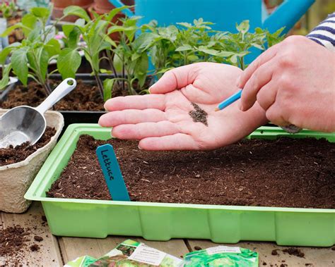 How To Make The Perfect DIY Seed-Starting Mix: Easy Recipes | Gardening ...