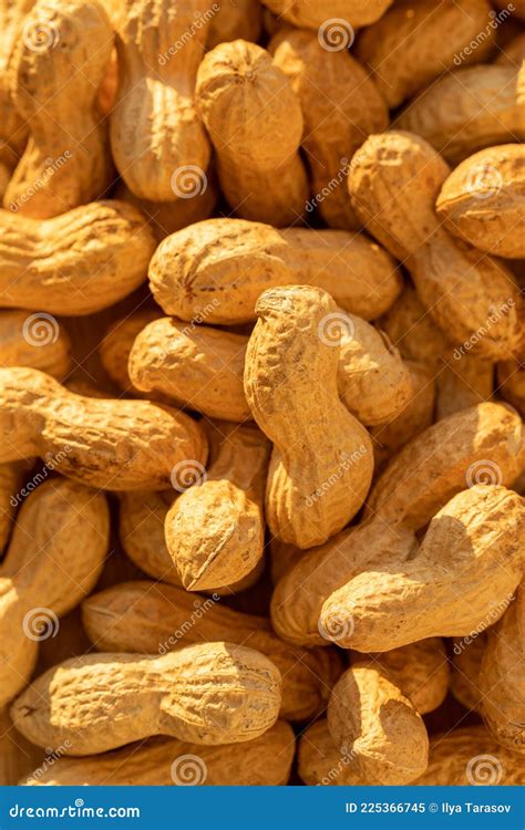 Peanuts in Shells. Roasted in the Shell Peanuts Stock Image - Image of ...