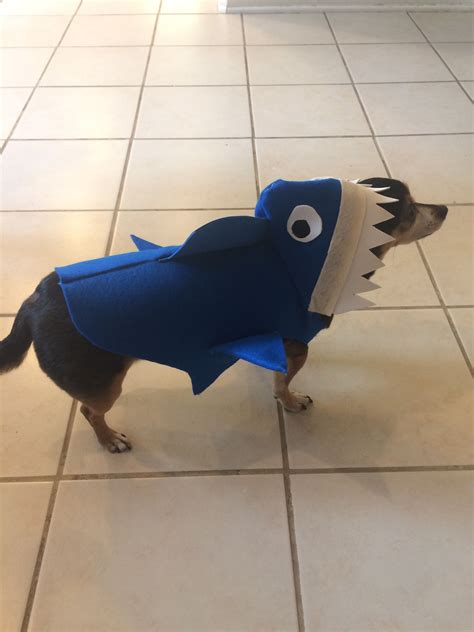 DIY dog costume (shark) | Diy dog stuff, Diy dog costumes, Dog costume