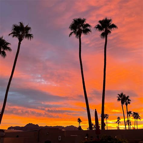 SUPERSTITION SUNRISE RV RESORT - Campground Reviews (Apache Junction, AZ)