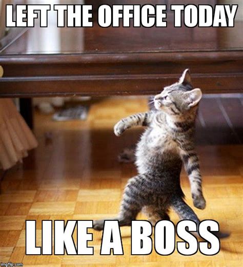 Cat Walking Like A Boss Memes - Imgflip