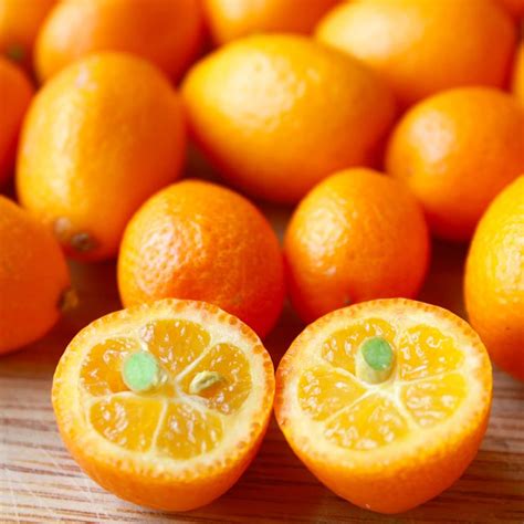 Achetez des graines de kumquat Nagami - Citrus Japonica, fruit acidulé ...