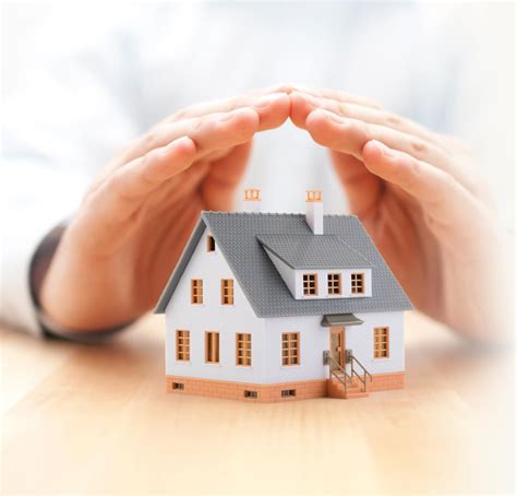 Pest Management Services | Yankee Pest Control