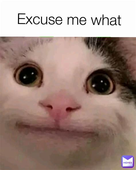Excuse Me Meme
