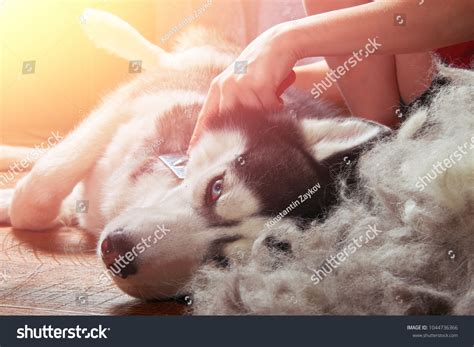 Allergy Friendly Education: Over 144 Royalty-Free Licensable Stock ...