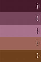 25+ Best Mauve Color Palettes with Names and Hex Codes