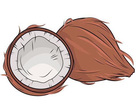 Free coconut clipart, Download Free coconut clipart png images, Free ...