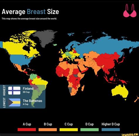 Average Breast Size This map shows the average breast size around the ...