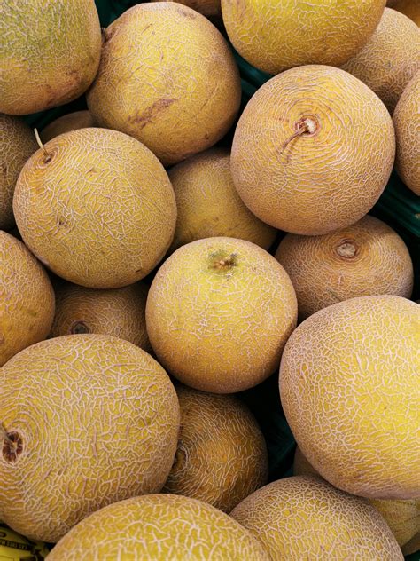 Can You Freeze Cantaloupe? A Step-by-Step Guide - MAY EIGHTY FIVE