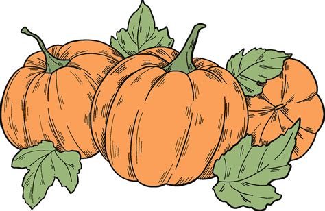 Pumpkin Patch Clipart