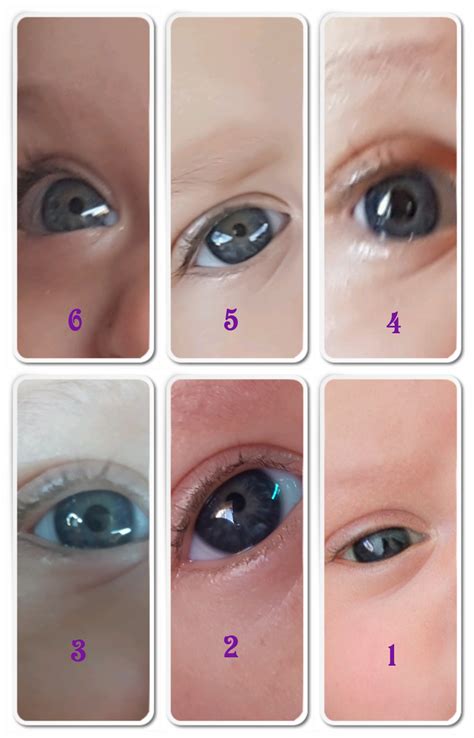 baby eye color calculator chart and predictor momjunction - how to ...