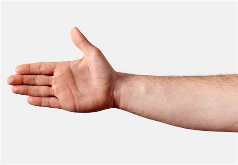 Average Wrist Size and Circumference for Males and Females – Fitness Volt