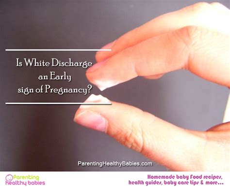 Creamy Discharge When Ovulating at Mary Spaulding blog
