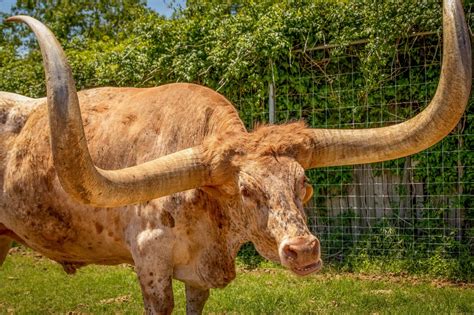 Fuel City Employment Opportunities