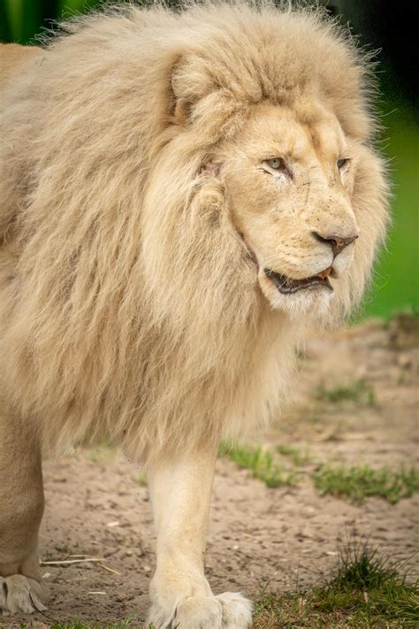 Mexican+Big+Ass Photos, Download The BEST Free Mexican+Big+Ass Stock ...