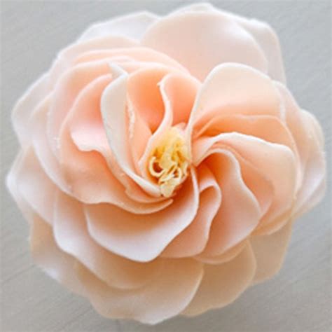 Belle Grace (Petite) – A'marie Flowers