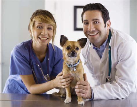 Vet Professional Insurance