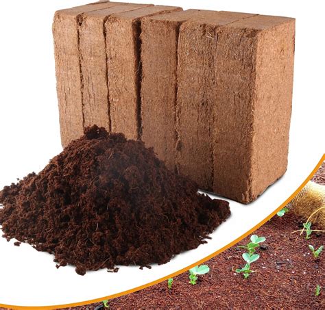 Amazon.com : Premium Organic Coconut Coir Bricks - 6 Pack Coco Coir ...