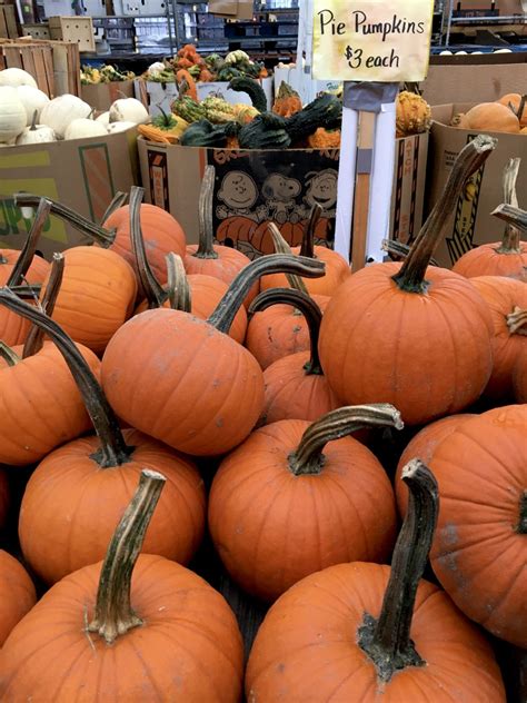 WNC Farmer’s Market – Asheville, North Carolina – 10/30/2019 – SPG ...