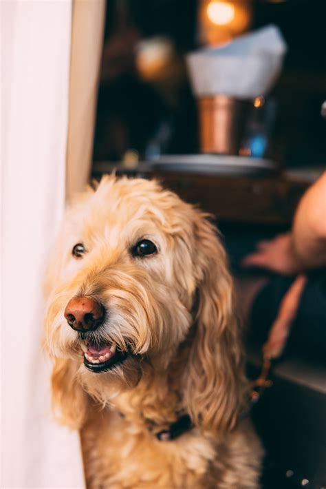 The Six Social House