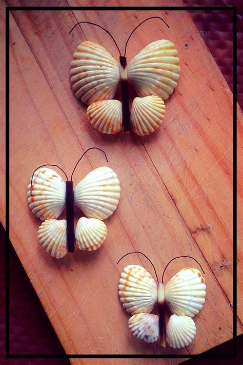 Seashell Crafts Beach