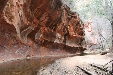West Fork Trail | Oak creek canyon, Visit arizona, West fork trail