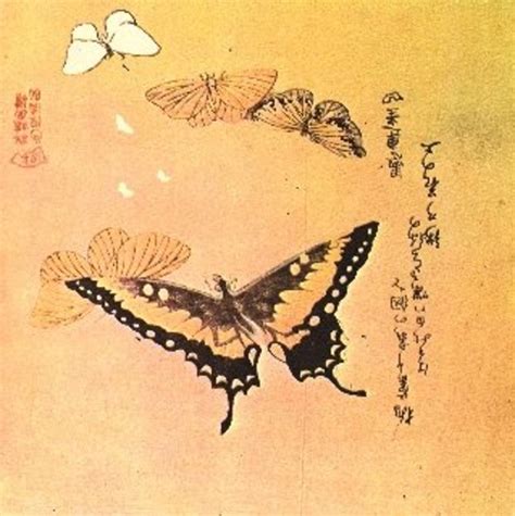 Butterfly Japanese Symbolism at Clyde Rucker blog