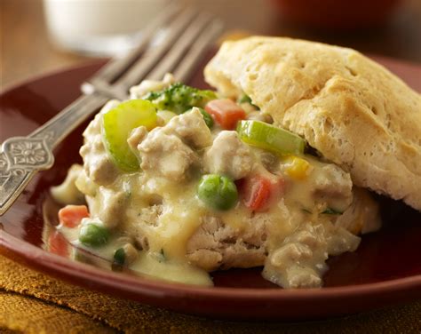 Chicken Biscuits And Gravy Recipe Easy at Amelia Woodhouse blog
