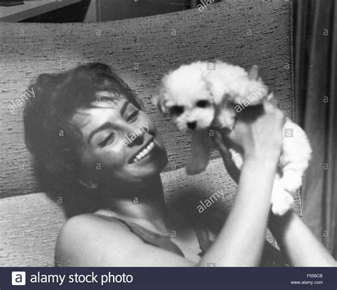 Sophia Loren 1950s Stock Photos & Sophia Loren 1950s Stock Images - Alamy