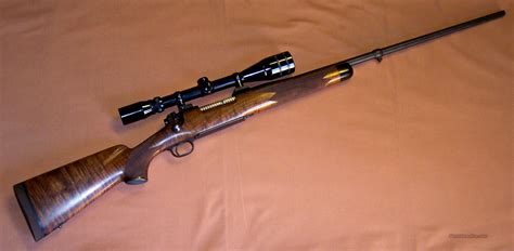 Winchester Model 70 Custom at Virginia Lyman blog