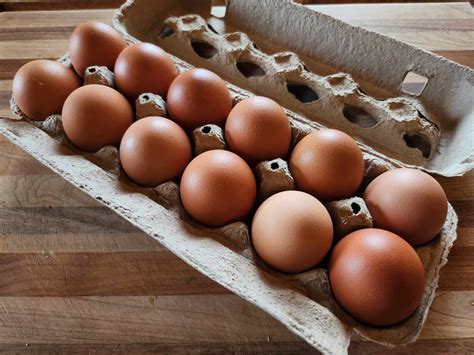 Dozen Eggs - Good Family Farms