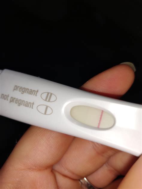 First Response Pregnancy Test Negative
