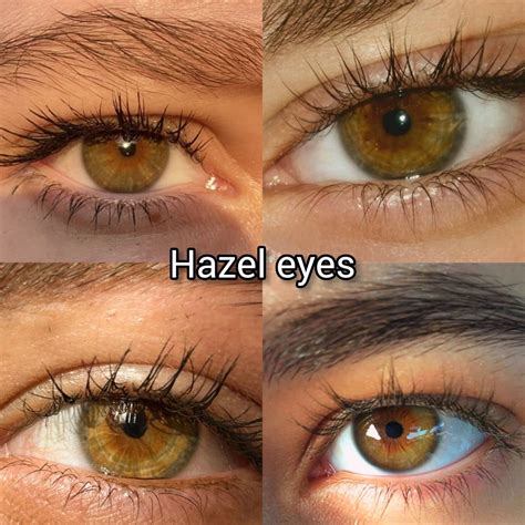 How Are Eyes Hazel? Understanding Brown, Green, And Gold Blends