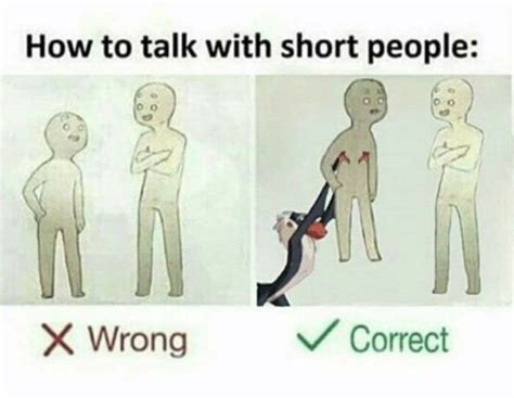 How to talk to short people | Funny memes, Stupid memes, Problems funny