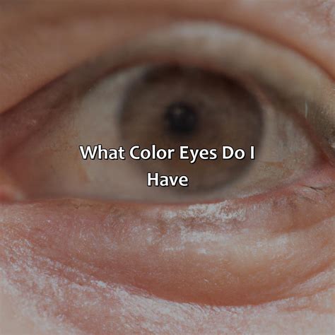 What Color Eyes Do I Have - colorscombo.com