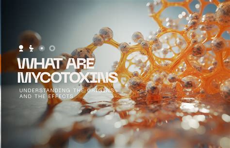 What's the Deal With Ozone and Mold? | LIVV Natural