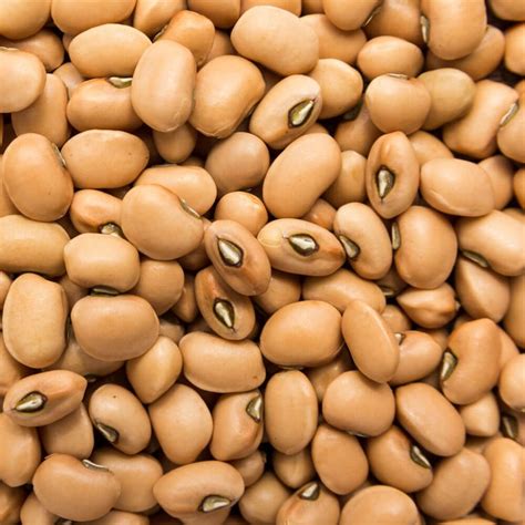 Black-Eyed Peas Seeds at Harold Chappell blog
