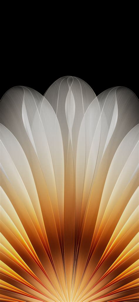 Floral Abstract Best Free Download iPhone Desktop Wallpapers Backdrops ...