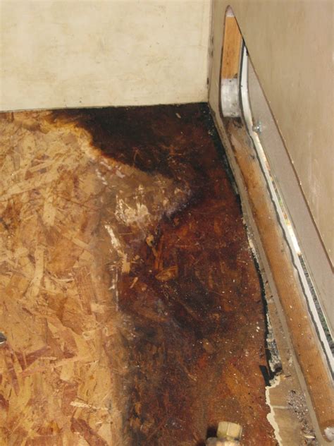 Vinyl Flooring Water Damage – Flooring Tips
