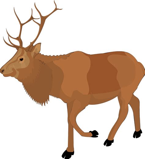 Elk Clip Art Free