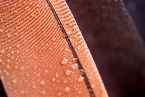 How to Rehydrate Leather Properly: Easy Step-by-Step Care Guide ...