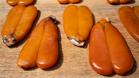 La cucina tradizionale toscana: La Bottarga di Muggine e la sua antica ...