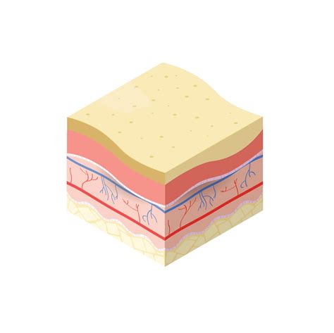 Wound Guide - Sloughy – Advancis Medical