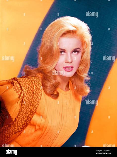 The seekers album hi-res stock photography and images - Alamy