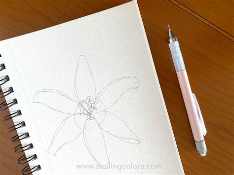 Simple Drawings Of Lilies