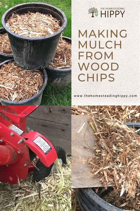 Are Wood Chips A Good Mulch at Jeanette Upshaw blog