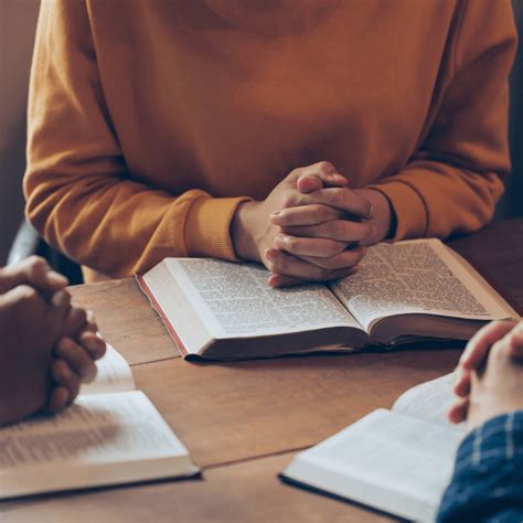 Guest Services - The Lamb Center