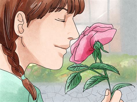 What Is The Smell Of Rose