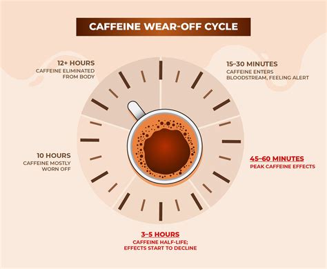 Tired Instead Of Awake? Why Coffee Makes You Sleepy